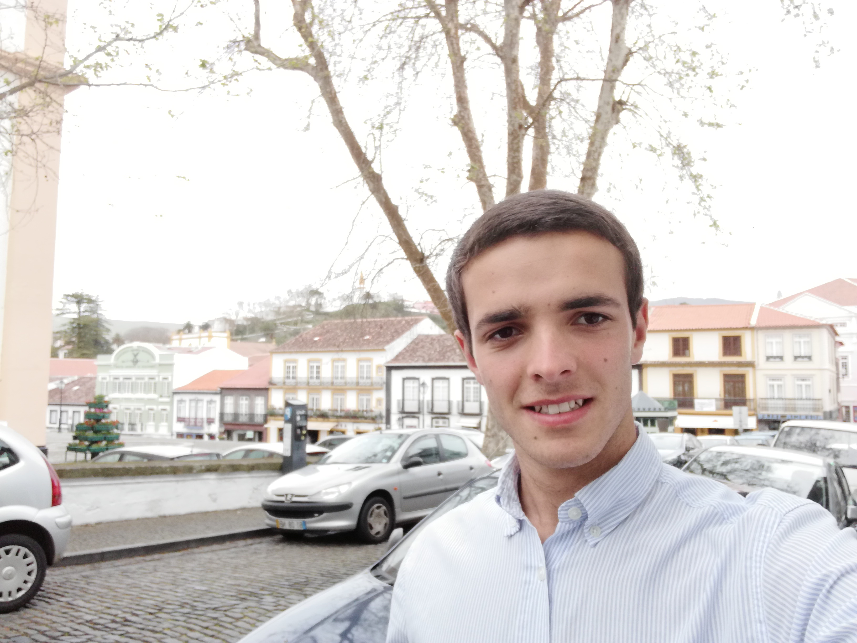 Voar (de novo) do ninho