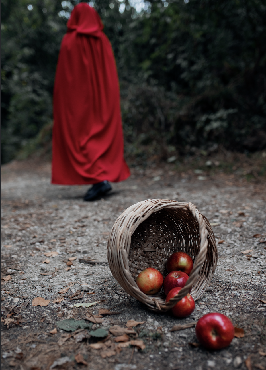 Orar com as Parábolas: Parábola do bom Samaritano  (Lucas 10,25-37)